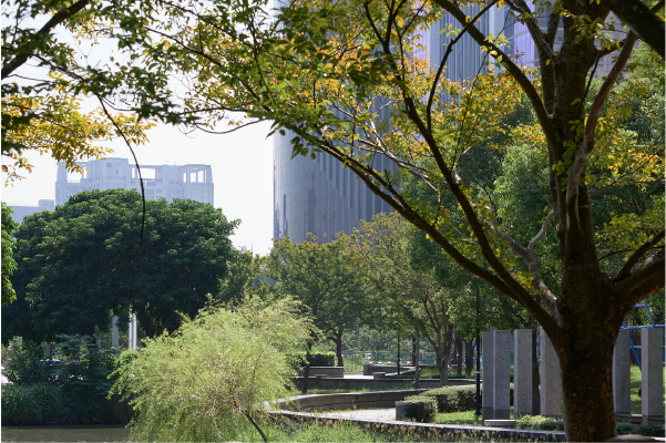 水圳森林公園